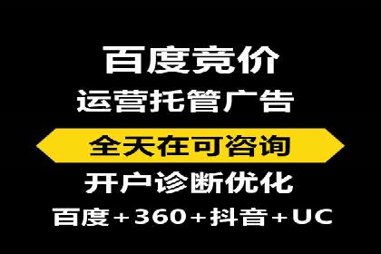 某企业通过SEM实现品牌与销售双增长的案例